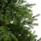 5ft. Pre-Lit North Carolina Spruce Artificial Christmas Tree, Clear Lights